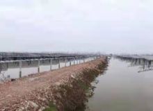 点击查看详细信息<br>标题：常德市鼎城区牛鼻滩镇兴阳80MW渔光互补光伏发电项目 阅读次数：1273